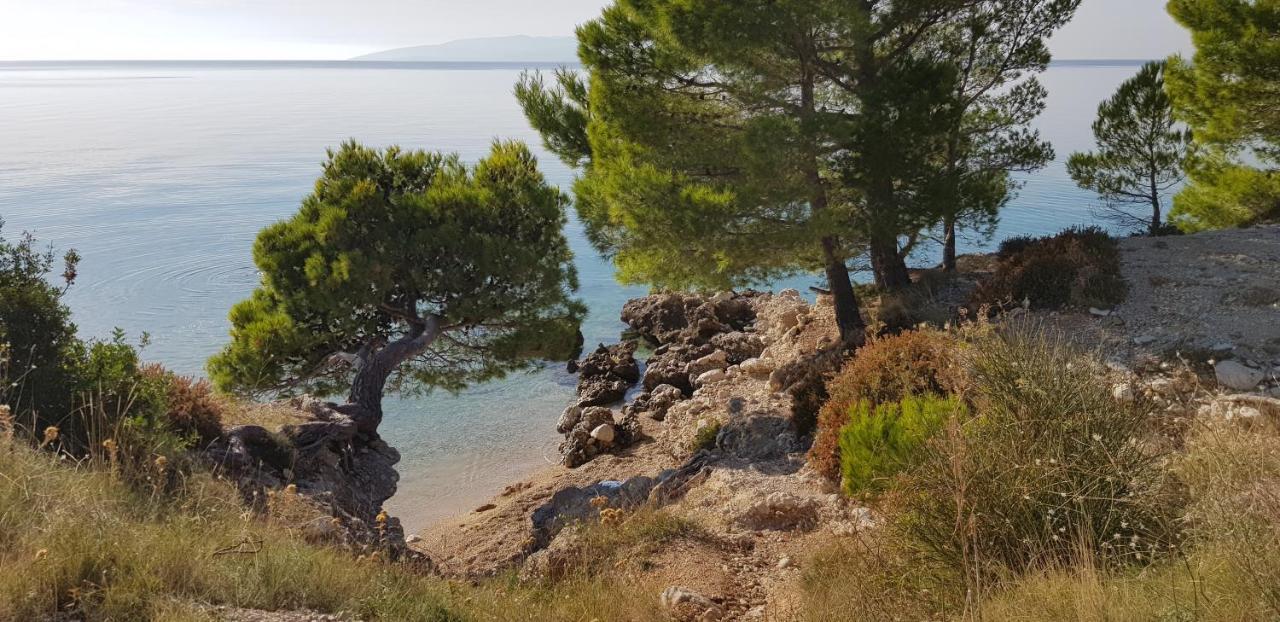 Holiday Home ماكارسكا المظهر الخارجي الصورة